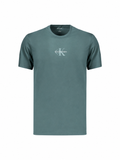 Calvin Klein T-Shirt Uomo blue